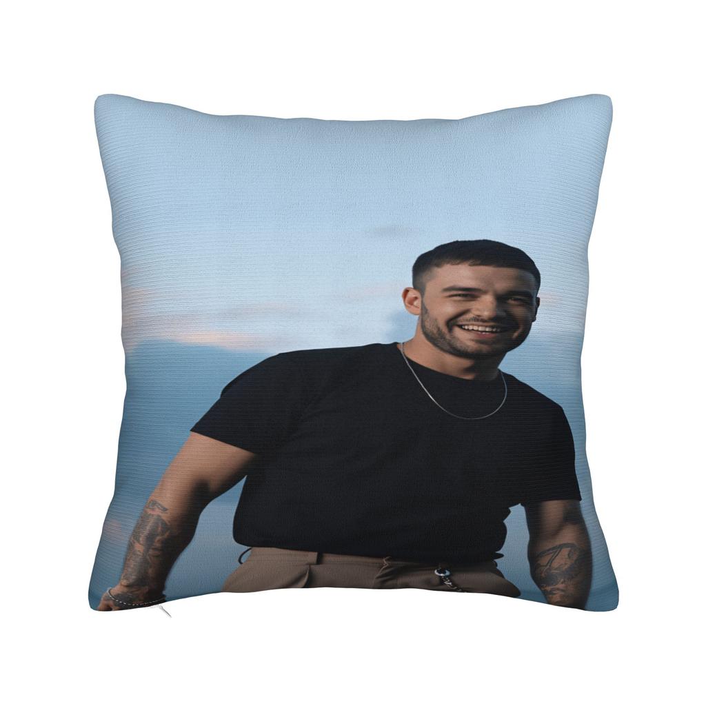 L-Liam Payne Sänger Kissenbezug Weiche Kissenhülle Moderne Kissenbezüge für Wohnzimmerstuhl