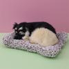 Simulated Kitten Meow Bamboo Charcoal Deodorizing Plush Cushion for Car & Home Decoration
