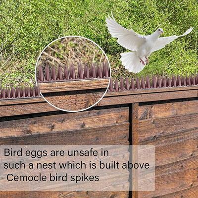 1 Pcs Plastic Bird Spike Wall Fence Spikes Yard Bird Spikes For Anti Climbing