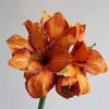 Simulation silk flower ornament, flannel simulation Clivia fake flower home furnishing hotel soft floor flower arrangement material Zhu Dinghong