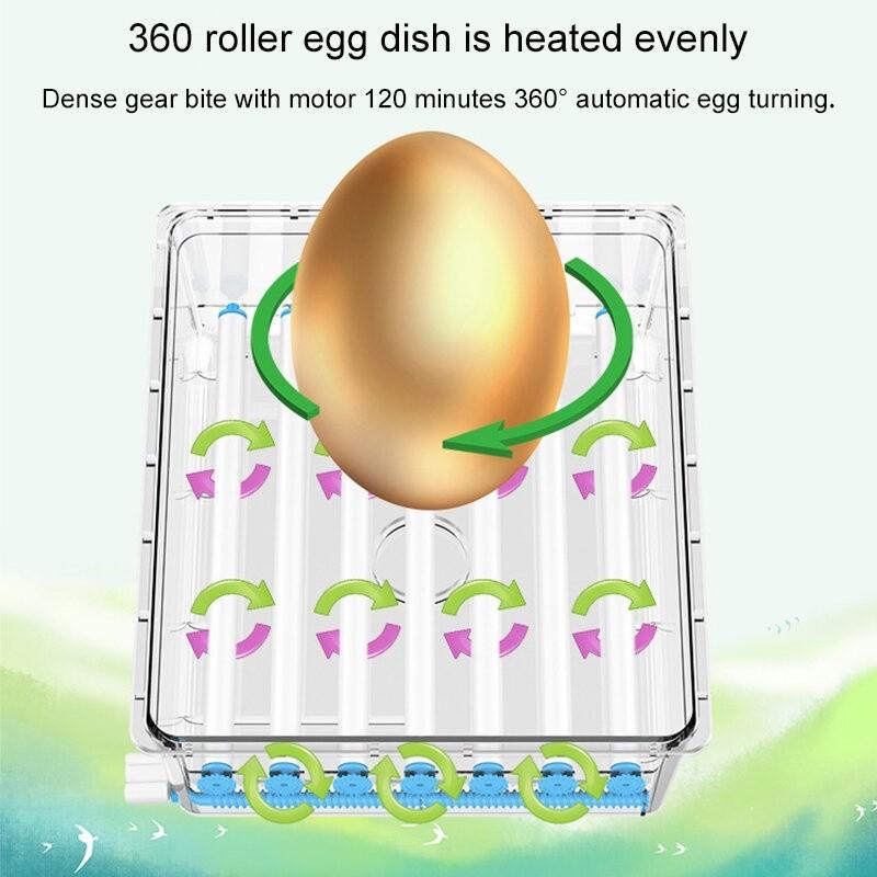 36/56/64PCS Eggs Automatic Incubator Fully Automatic Farm Bird Quail Brooder High precision temperature Control Poultry Hatcher