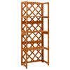 Day and Night - Day and Night Trellis with Shelves Solid Fir Wood 55x30x140 Cm