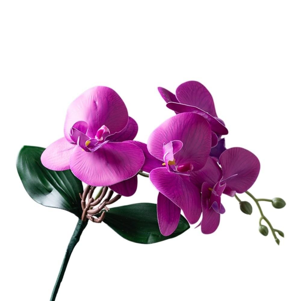 Cloth Simulation Phalaenopsis Vivid Fake Butterfly Orchid Artificial Moth Orchids  Bedroom