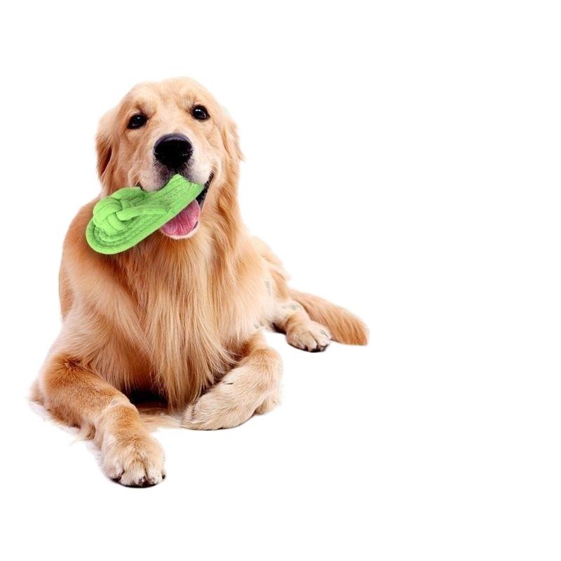 New Cotton Slipper Rope Dog Chew Toy Molar Teeth Training Interactive Play Toy For Small Large Pet Dog Daily Accessory