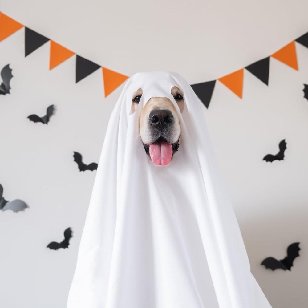 Party Cosplay Halloween Dog Ghost Costume Loose Dog Halloween Clothes  for Halloween Party