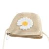 Fruits Strawberry Crossbody Coin Bag Straw Messenger Bags Korean Purse Wallets Women Shoulder Bags