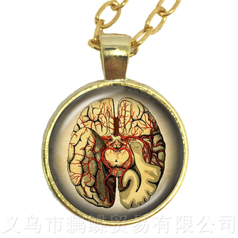 Human Anatomy Organ Necklace Glass Cabochon Science Medical Punk Brain Eye Jewelry Sweater chain Creative Gift