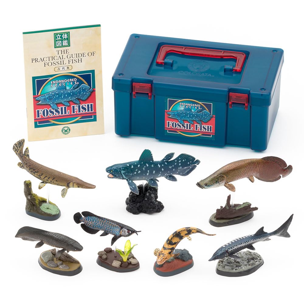 Carolata Ancient Fish Figure 3D Encyclopedia Creatures 7 Species With Realistic Figure Box Educational Toy Birthday Present Gift Sanitation Law Figure