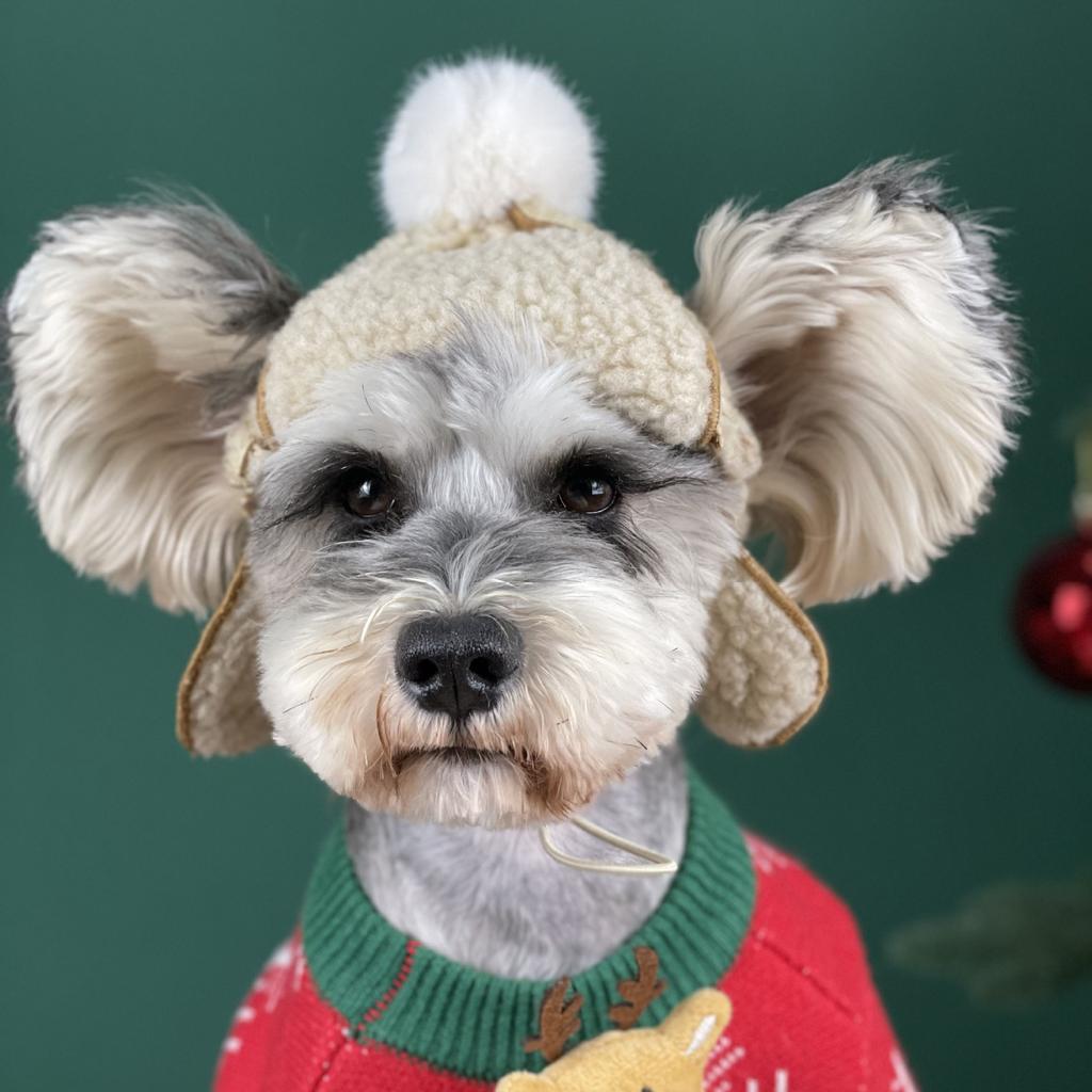 Mütze für Hunde, Winter-warme Mütze, Welpen-Teddy-Kostüm, Weihnachtskleidung, Weihnachtsmann-Hundekostüme, Chihuahua, Chapeu Para Cachorro