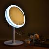 Cosmetic Mirror with Fan 3 In 1 LED Make MirrorMagnifying Mirror 180 Degree Rotation Removable Table Mirror Home Travel | Bath Mirror