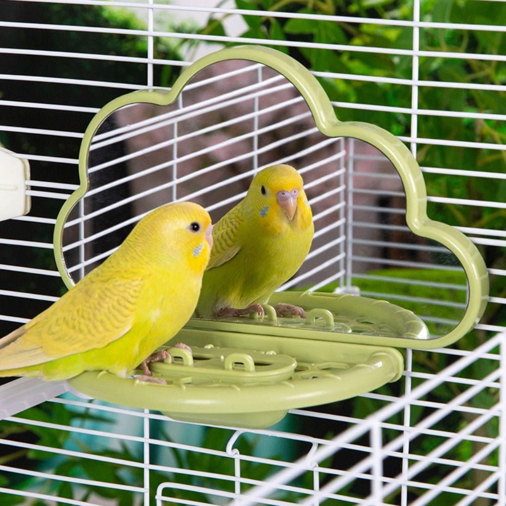 Clouds Shape Bird Perch Stand Save Space Parrots Feeders Bird Mirror Toy  Rest Platform