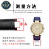 Kit di Collegamento Vite per Ansa Orologio Vite Tubo Barra per Cinturino in Pelle Acciaio Inossidabile Barra Vite Piatta 14 16 18 20mm