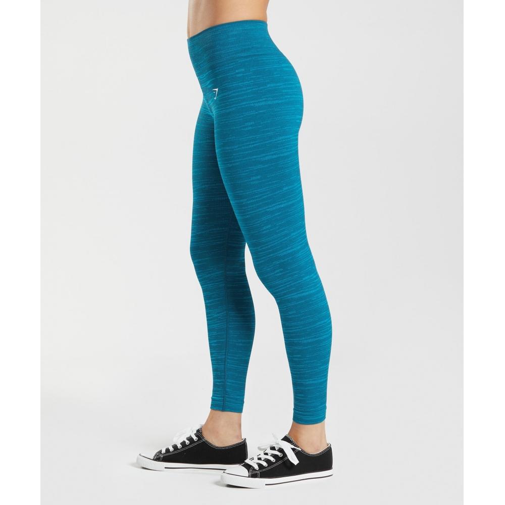GymShark Adapt Marl Seamless Leggings Atlantic Blue Shark Blue B3a5z Ubss