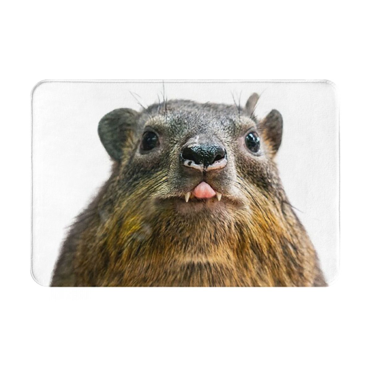 

Rock Hyrax Merry Christmas Ugly Style Anti-slip Doormat Floor Mat Carpet Rug for Kitchen Entrance Home Living room Footpad Mats 40x60cm