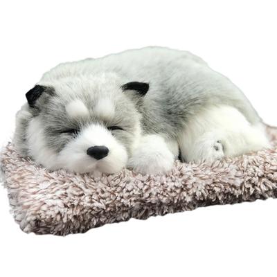 Muñecas y Peluches – Peluches