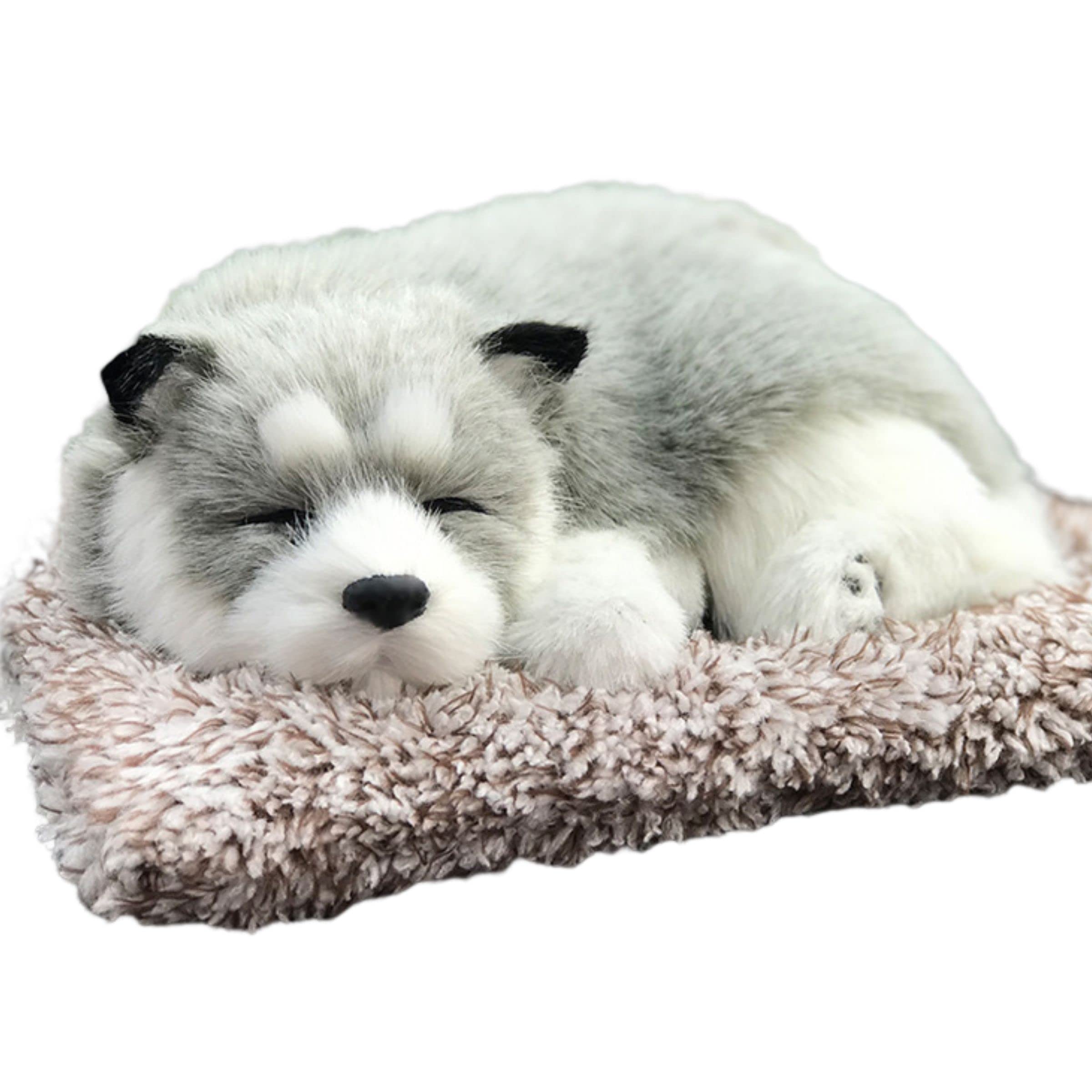 

TASINO Плюшевая игрушка Собака Фигурка Хаски 26 x 18 см Реалистичная Милая Живая