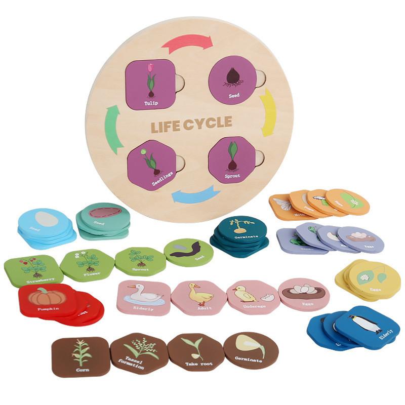Child Wooden Educational Animal Plant Life Cycle Puzzle For Learning Early