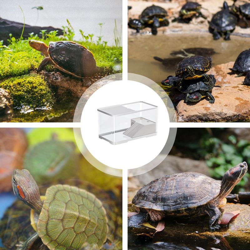Creative Turtle Tank Tortoise Aquarium Habitat with Basking Aquatic Tortoise Aquarium Reptile Habitat