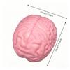 Giocattolo Antistress Squishy Jumbo Cervello Similato Giocattolo Fidget Modello Grande Cervello Palla Antistress Giocattolo Scherzo da Spremere Giocattolo per Alleviare Stress e Ansia Regali di Natale