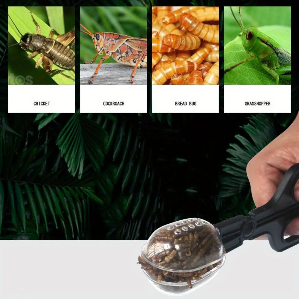 1PC Bee Catching Clip Bee Queen Transfering Tool Beekeeping Apiculture Isolation Cage Room Reptile Feeding Clip