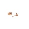 Daniel Wellington Micro Crystal Heart Stud Heart Cubic Mini Earrings