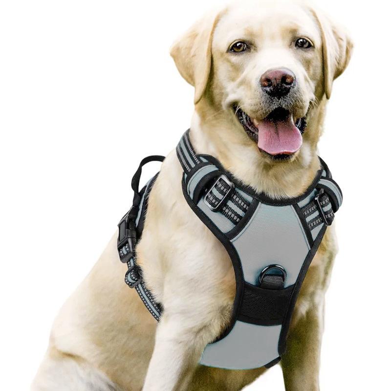 Dog Nylon Chest Harness and Leash for Large Pets