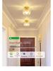 Nordic Luxury Shell Corridor Light: Creative, Modern Balcony & Entrance Lighting