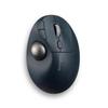 Kensington Pro Fit Ergo TB550 Wireless Trackball, K72196JP, Gray