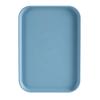 Simple Rectangular Plastic Serving Tray