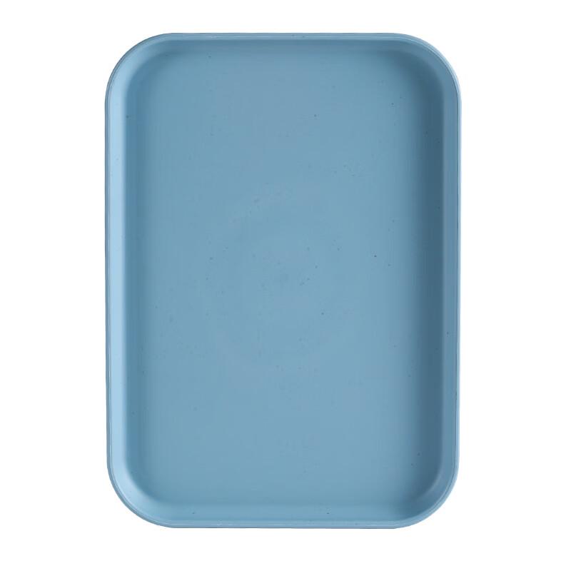 Simple Rectangular Plastic Serving Tray