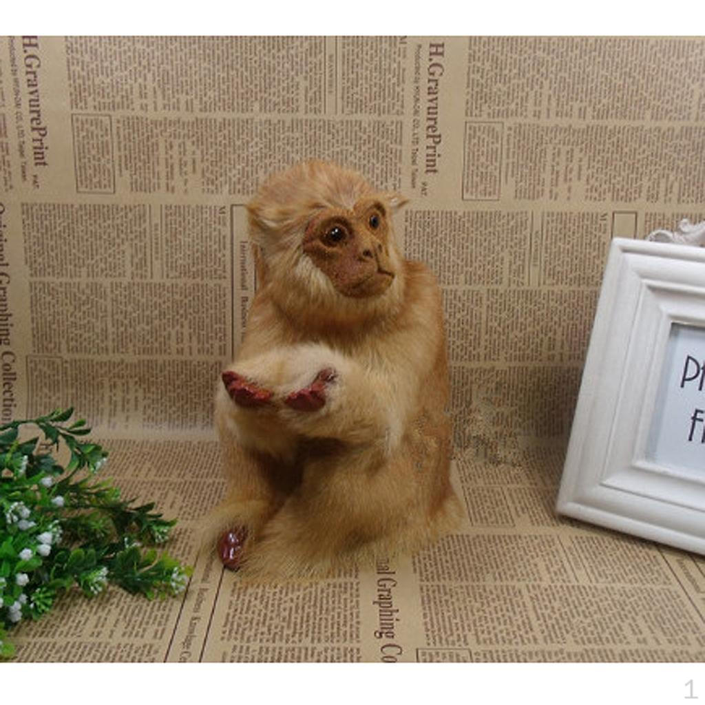 Arts - ANIMALS SITTING MONKEY Dark