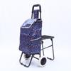 Outdoor Folding Shopping Cart