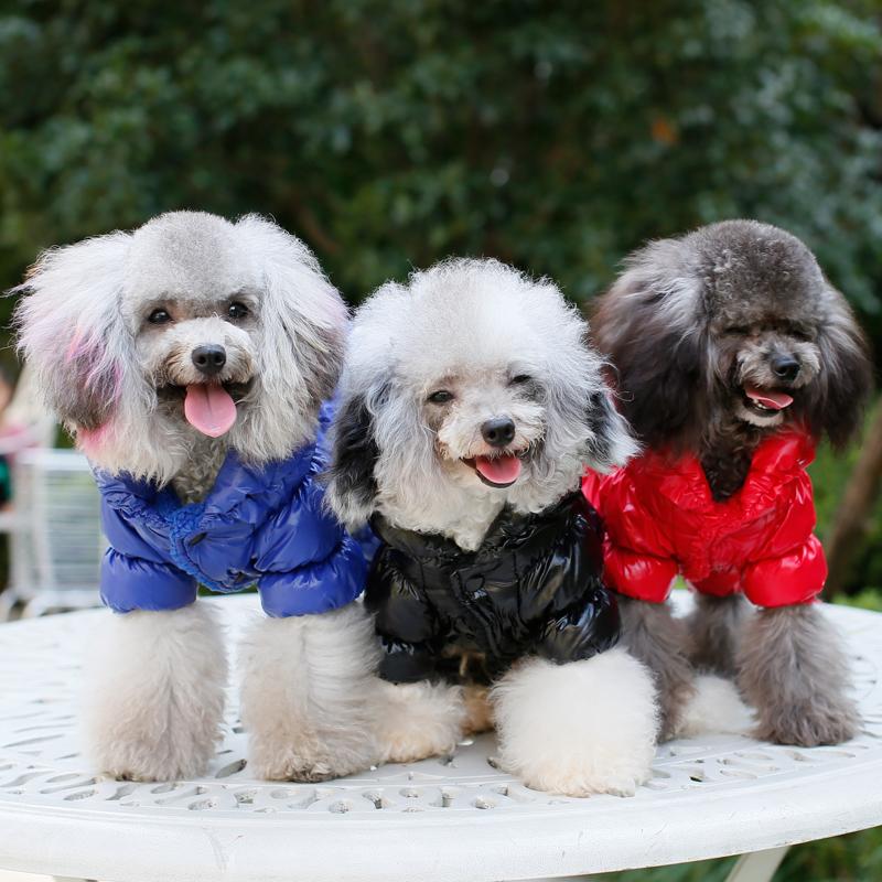 Winter Daunen Overall für Hunde Warm Kleine Mittelgroße Hundekleidung für Französische Bulldogge Overall Welpen Katzenkleidung ubranka dla psa