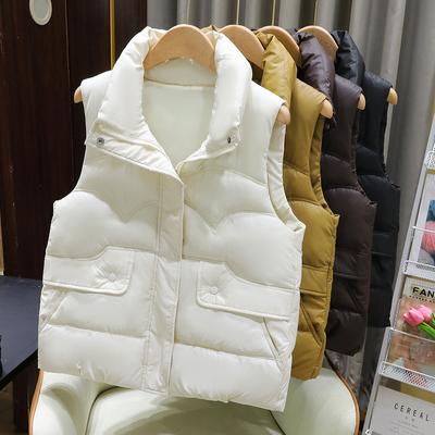 Autumn and Winter Women's Vest Stand Collar Outdoor Thickened Windproof Warm Vest Loose Sleeveless Jacket