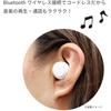 Gourmandies Moomin Completely Wireless Stereo Earphones Little My MMN-180A