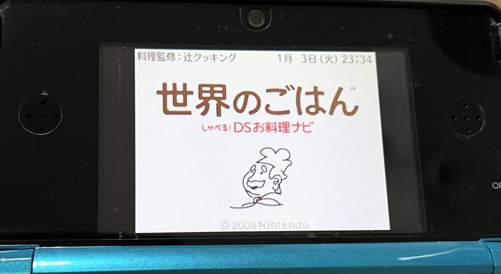 Talking World DS Cooking Guide Food!