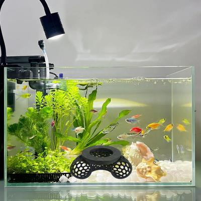 Schwimmender Betta-Tunnel 3D-gedruckt Hohl Betta Kleine Fische Garnelen Lebensraum Höhle Versteck Spielzeug Beschäftigung Aquarium Dekoration Aquarien Zubehör