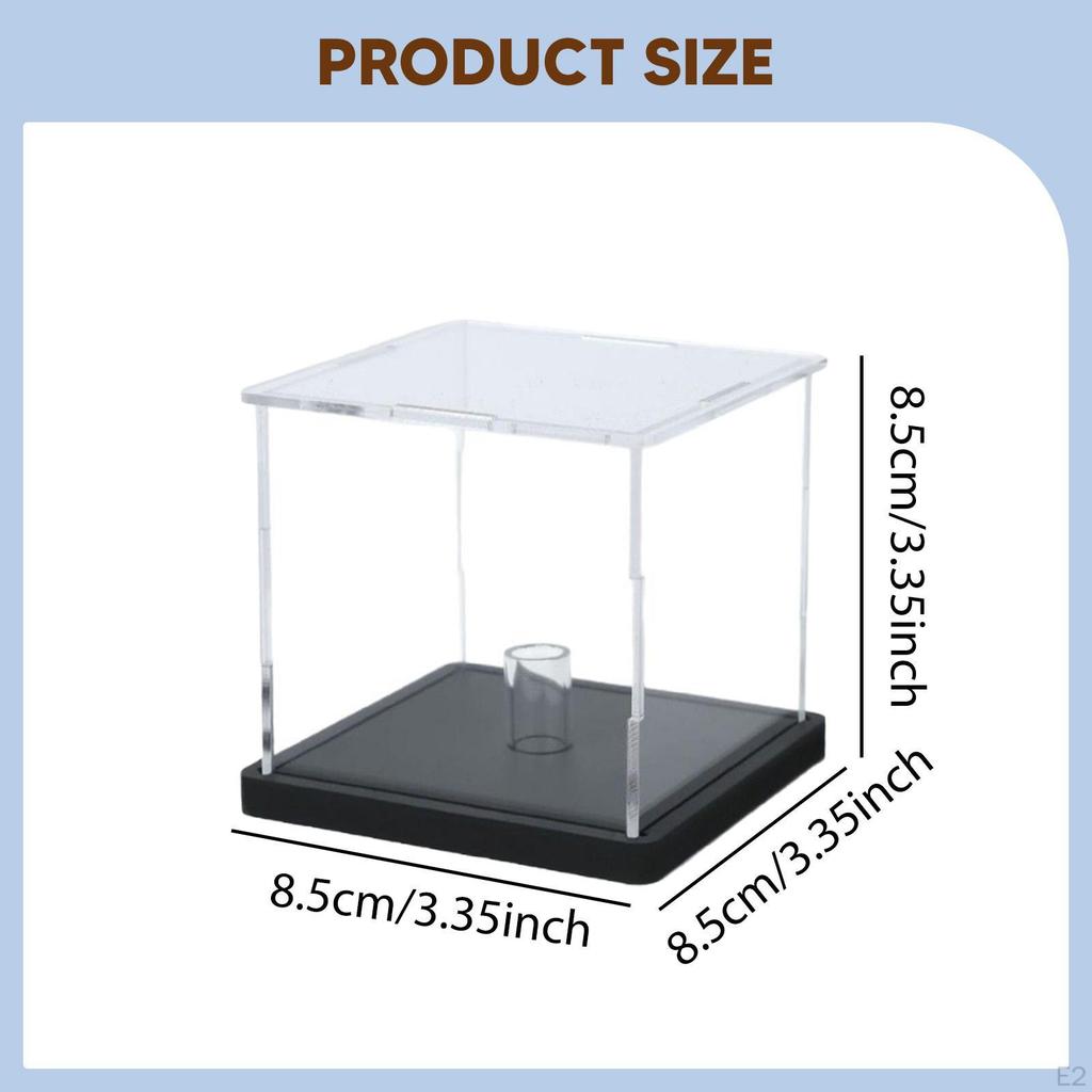 Softball Display Case Sports Ball Organizer Collectible Sturdy Showcasing Acrylic Baseball Holder