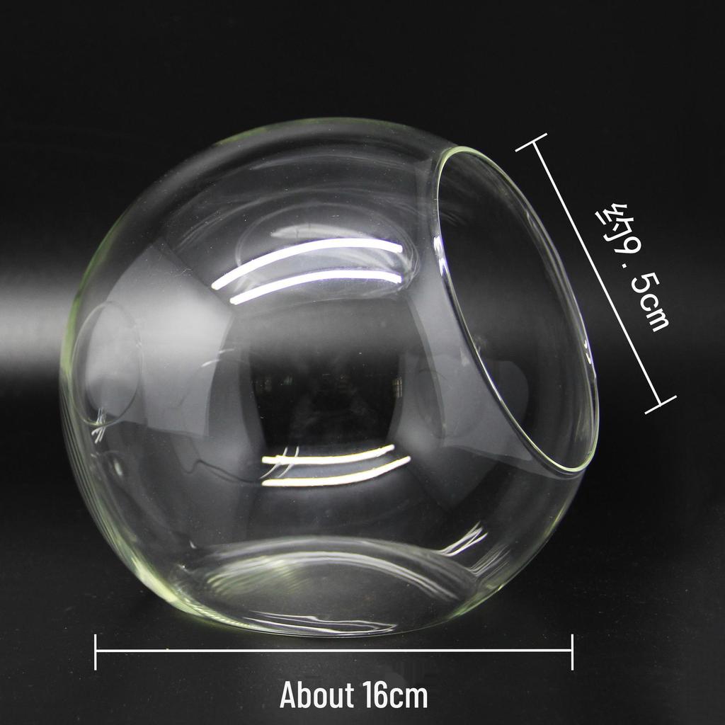 Round Oblique-Mouth Glass Vase for Succulents and Micro Landscapes