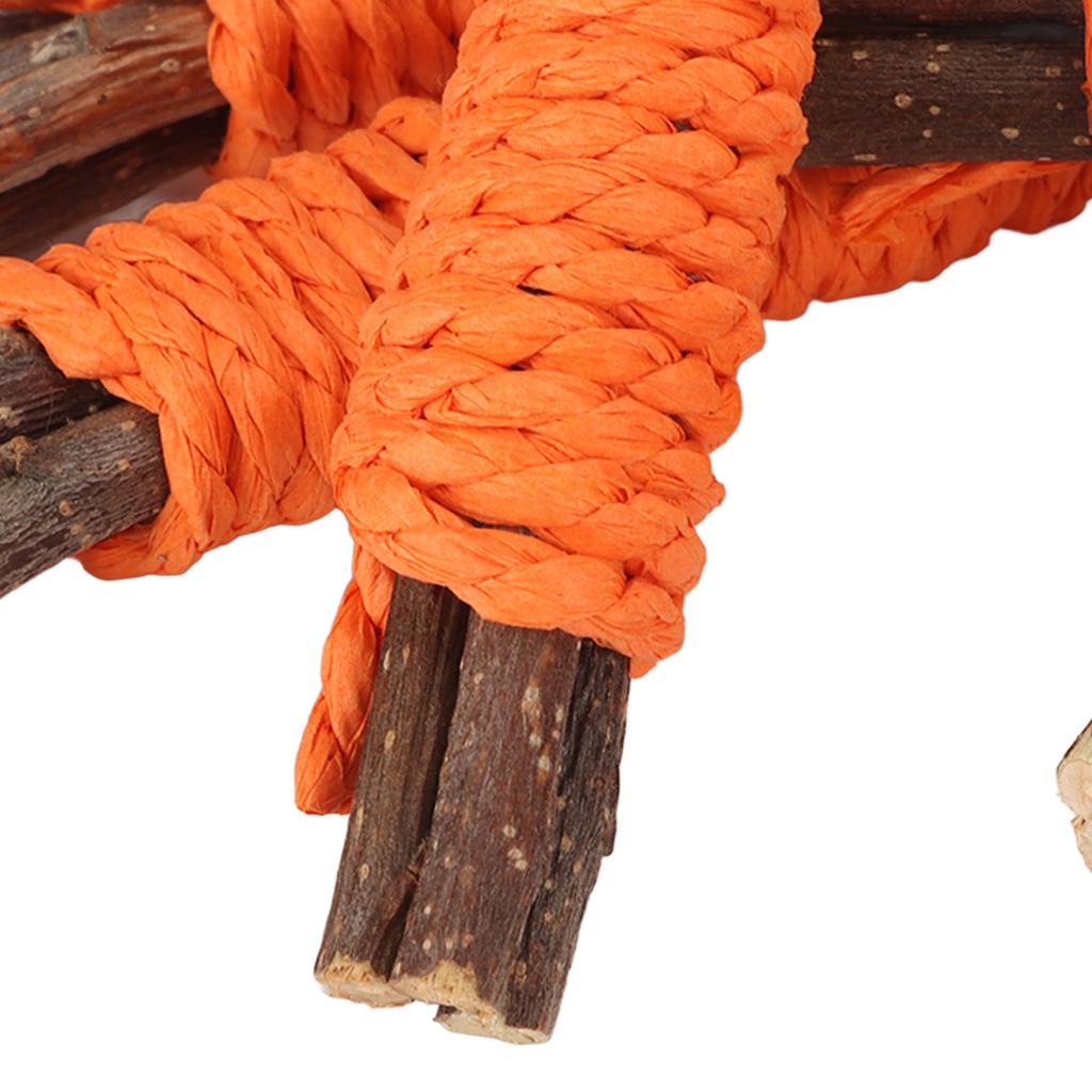 10Pcs Hamster Chew Sticks   Branches and Paper Rope Woven Wooden Hamster Bite Toys for   Hamster Chinchilla
