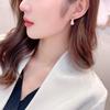 Elegant Zirconia Water Drop Copper Earrings for Women - Versatile, Fashionable, and High-End Feel.
