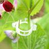 100 Pcs Plant Support Clips Plastic Gardening Clips for Securing Tomato Vine Reusable Plant Fixing Clips for Grape Climbing Plants