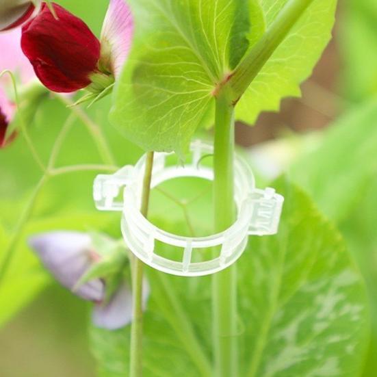 100 Pcs Plant Support Clips Plastic Gardening Clips for Securing Tomato Vine Reusable Plant Fixing Clips for Grape Climbing Plants