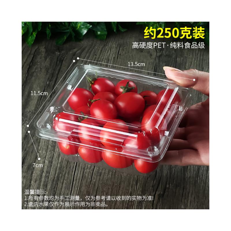 Shixun Disposable Fruit Packaging Box