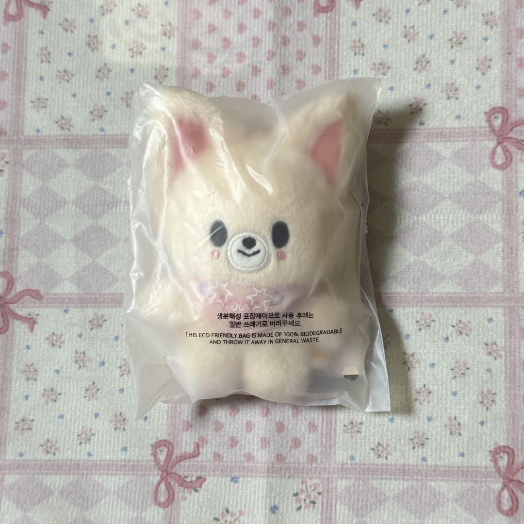 

[USED] Stray Kids 5 clock Fan Meeting Plush Toy Ien