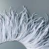 High Quality Ostrich Feather Trim Fringe Natural White Feather Ribbon Trimming For Party Dress Sewing Wedding Accessories 1 M