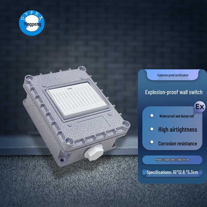 GYPEX Industrial Explosion-Proof Wall Light Switch