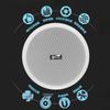 Huidu RS-808A Professional Coaxial Ceiling Speaker (CN version)