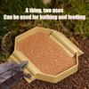Anti-Slip Tortoise Water Dish Plastic Reptile Pool Dish Turtle Feeding Dish  Terrarium Setup