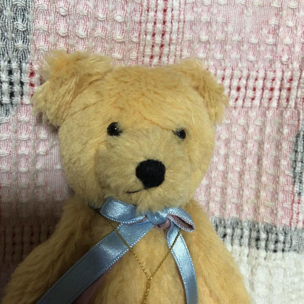 [USED] SHINADA Atelier Toyoko Teddy Bear with Paper Tag, Pre-owned